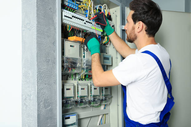 Best Electric Panel Repair  in Lake Winnebago, MO